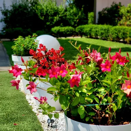La - Convenient For Sardinia And Corsica - 4 Beds - Private Parking Included With *